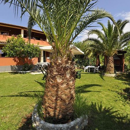 Villa Toula Дассия Экстерьер фото